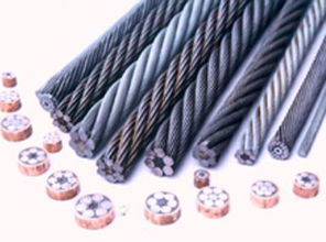 供應(yīng)鍍鋅鋼絲繩