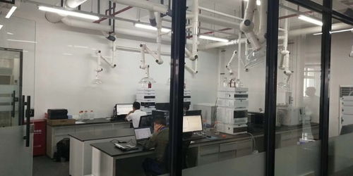 閔行獨棟1350平可分割精裝修廠房 一站式解決倉儲、生產與土地需求