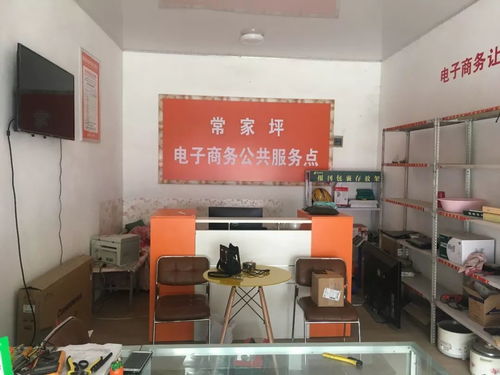 渭源縣電子商務(wù)公共服務(wù)中心2019年電子商務(wù)服務(wù)發(fā)展報(bào)告